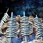 Marina I Relax With Ocean Views, Pools, 250m To The Sea